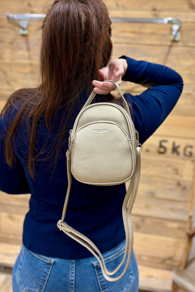 Sac Felicine Taupe Métalisé (15100285354309)