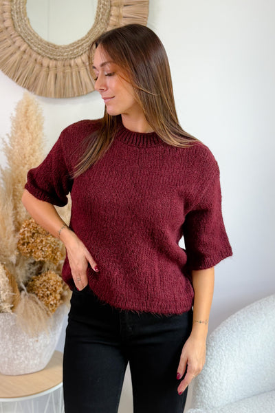Pull Zoey Bordeaux JDY (15329801732421) (15329818870085)