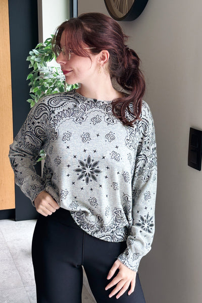 Pull Fin Badani Gris