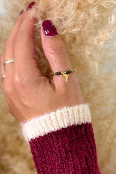 Bague Teckel Noir (15329768997189)