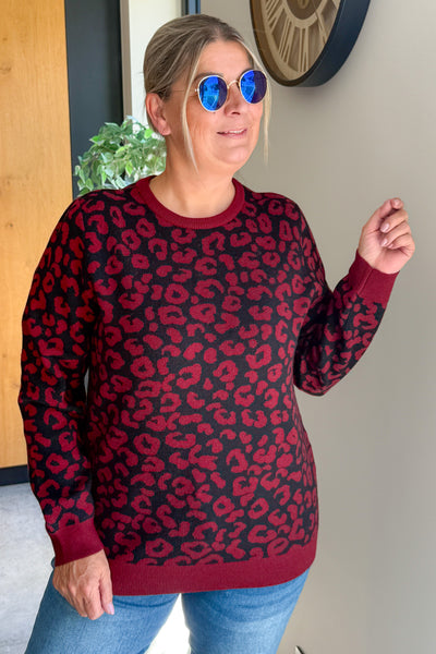 Pull CarIbi Bordeaux Carmakoma (15308029329733)