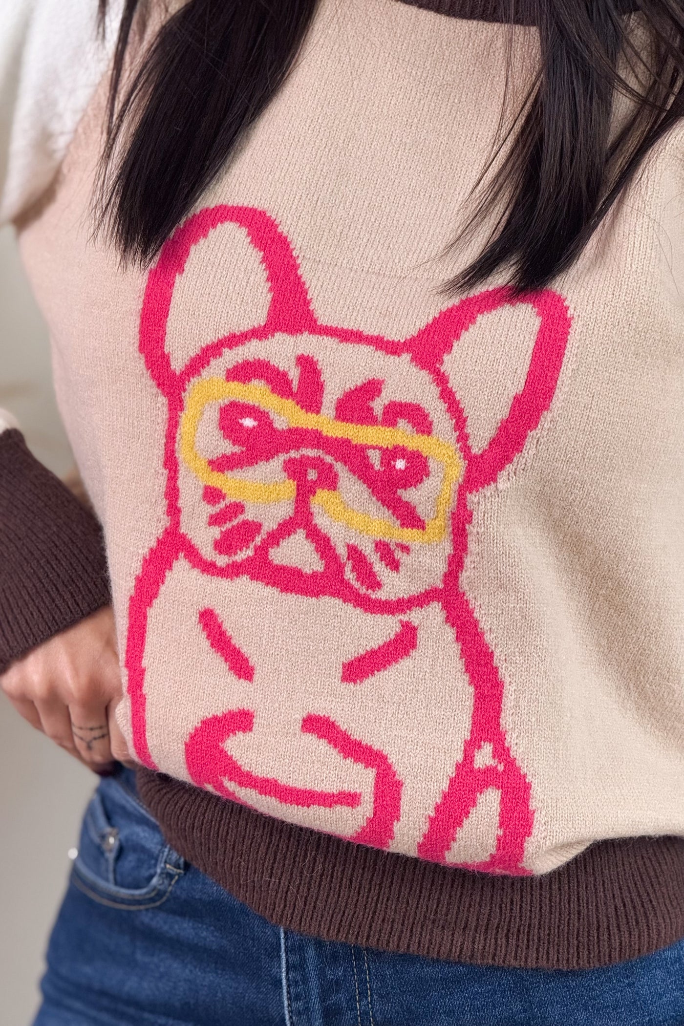 Pull " Bouledogue" Beige