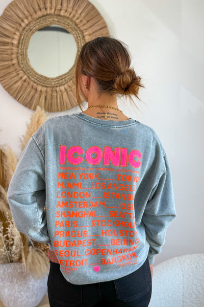 Sweat " Iconic" Gris Délavé (15242541039941)
