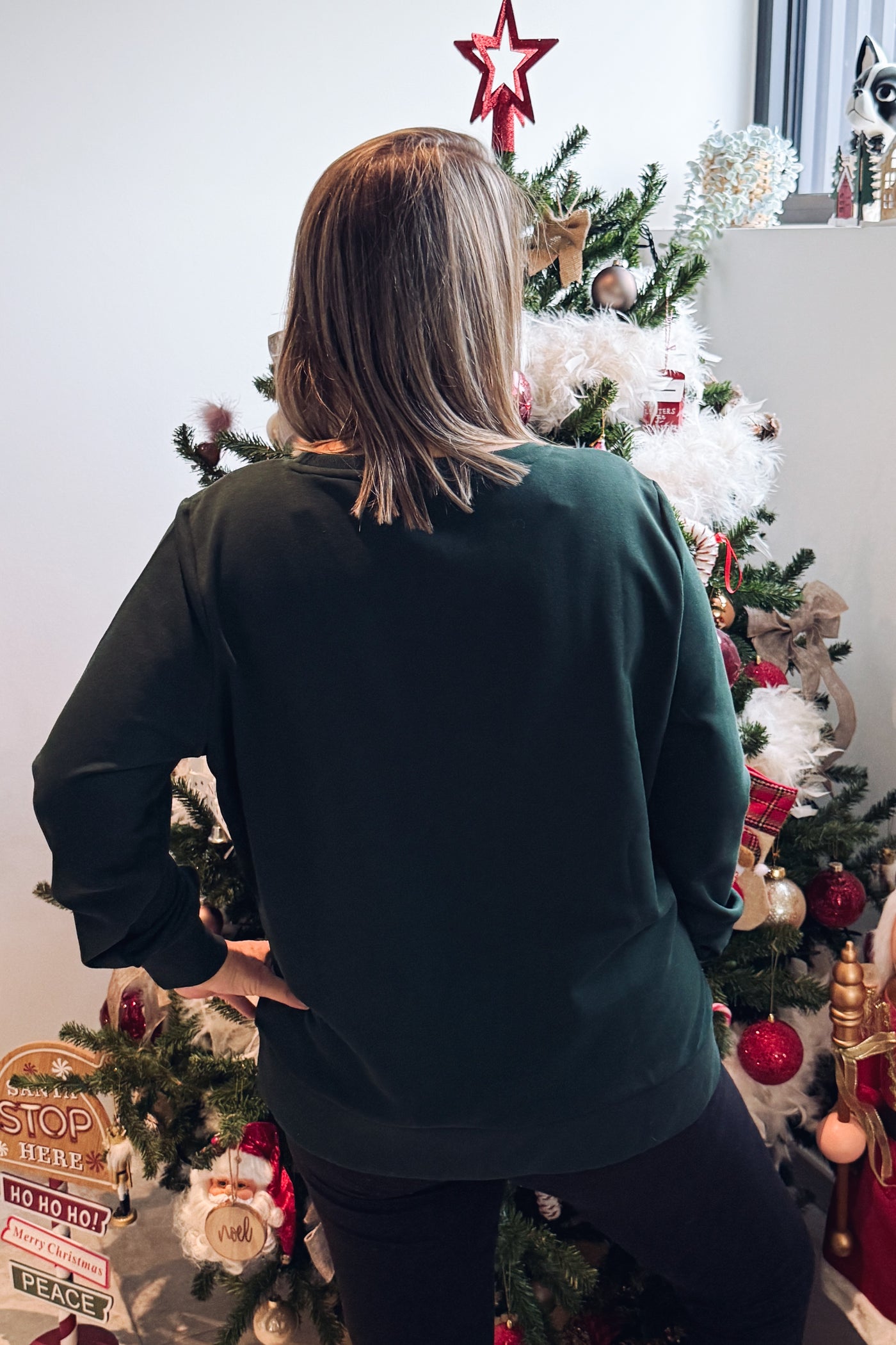 Pull CarXmas Vert Bouteille (14821778358597)