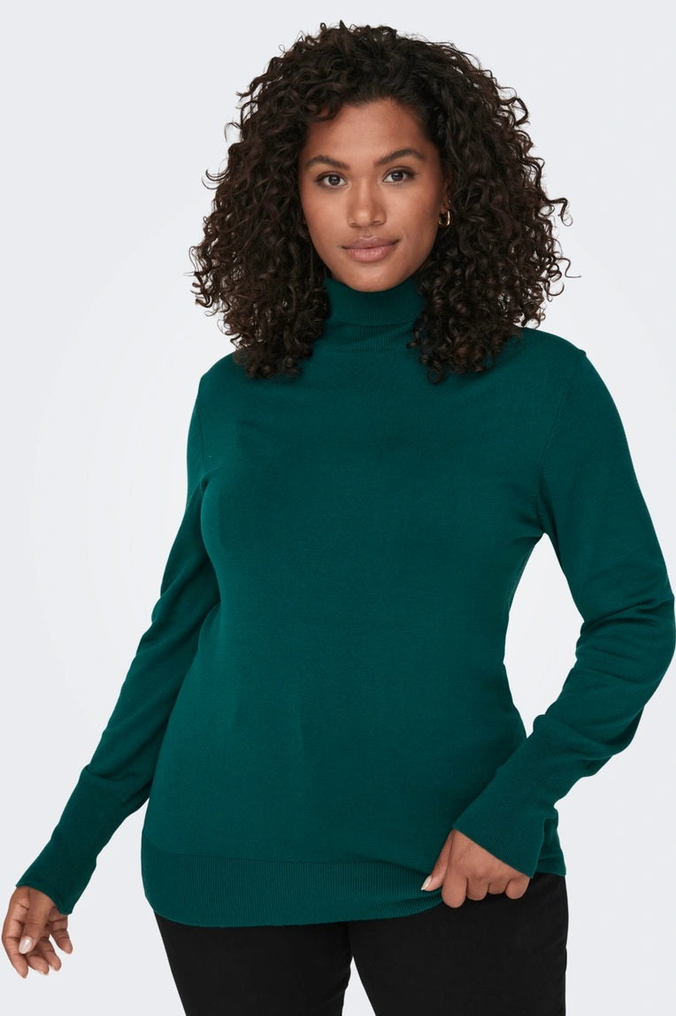 Pull col roulé CARVENICE Vert (8643007578437)