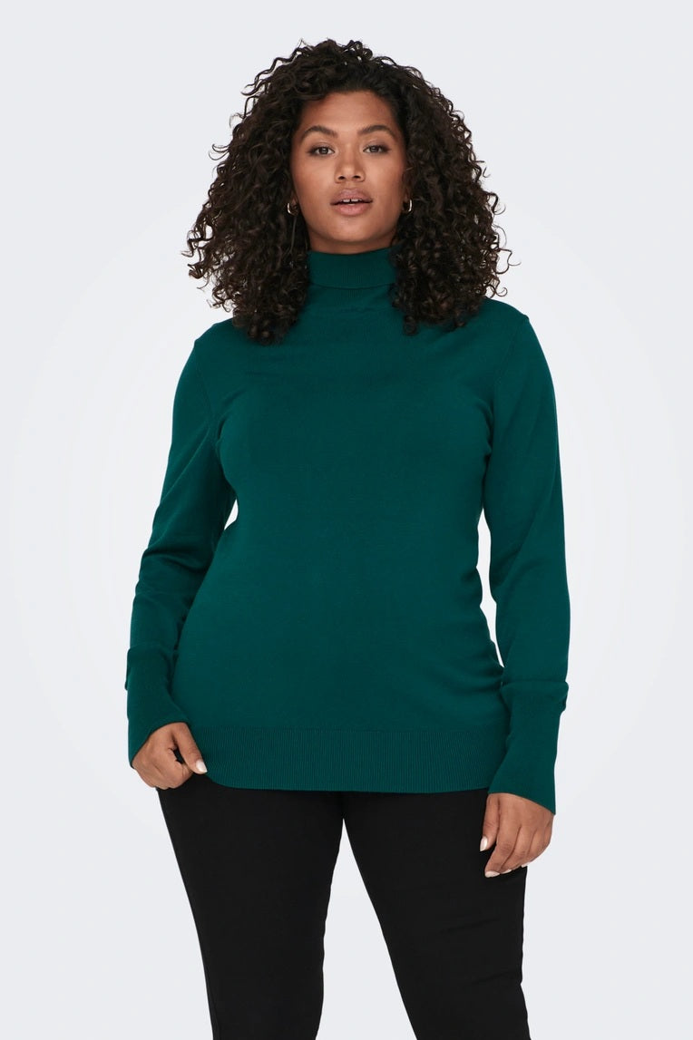 Pull col roulé CARVENICE Vert (8643007578437)